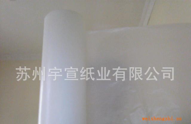 生產加工60克優質醫用淋膜紙